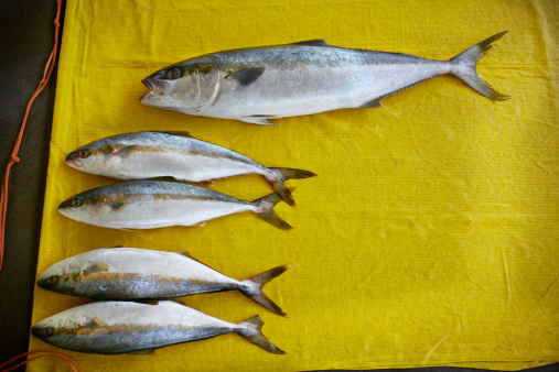 食补维生素 5种维生素的补充建议(4)_吃出健康