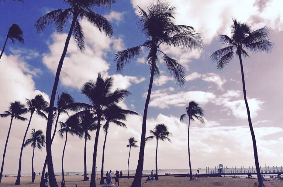 周公子柔美现身Chanel出席巴黎-萨尔茨堡高