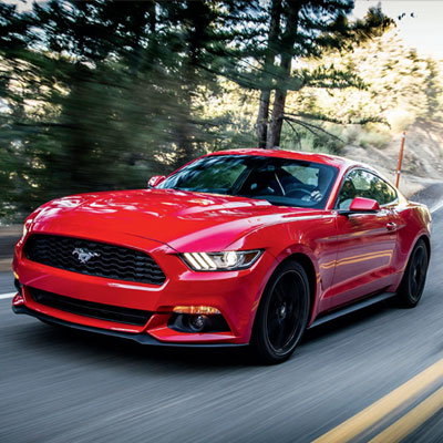 Mustang 野性之灵 策马扬鞭