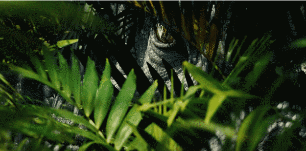 anigif_optimized-2666-1422835606-6