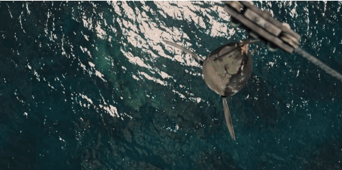 anigif_enhanced-29347-1416937823-21