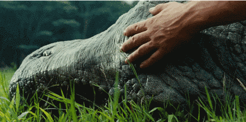 anigif_optimized-31292-1422835627-6