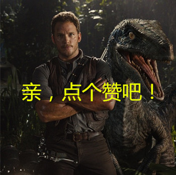 p2242178553_副本