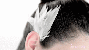 ae9fadea15ce36d32f06b4e23ff33a87e850b189