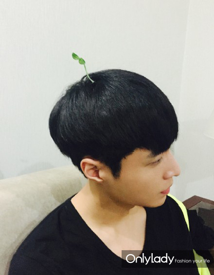 头顶萌草才是新时尚 看GD都那么做!