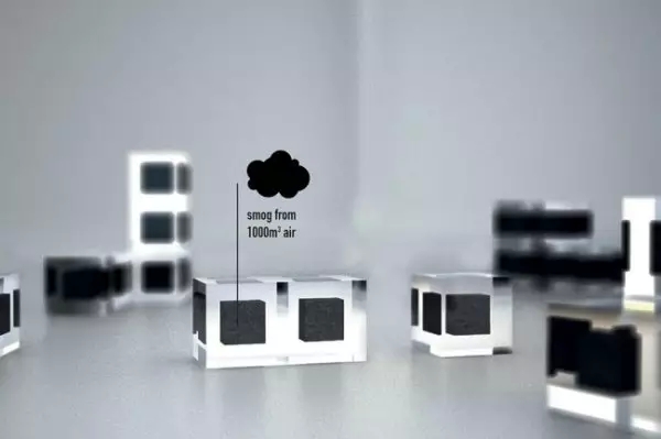 12.webp