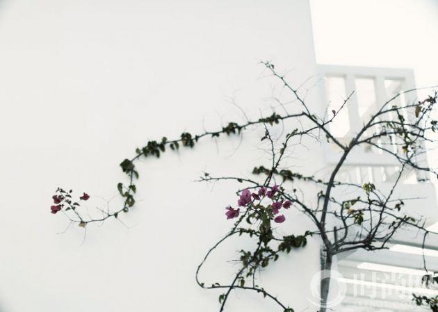 mykonos26.jpg_effected
