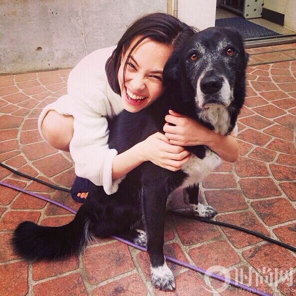 QQ图片20151222130115