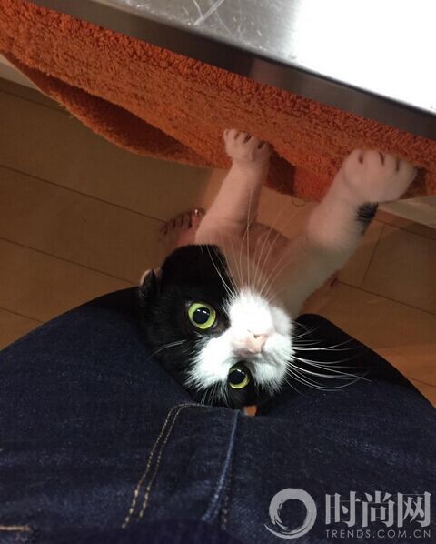 QQ图片20151228163624