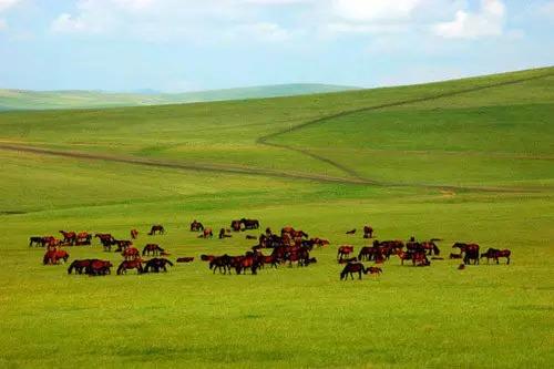 一定要去的55个国内旅行圣地，你去过几个？ 