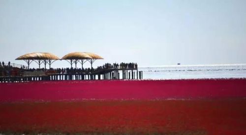 2016年必去的国内旅行地，第一个是这里…… 