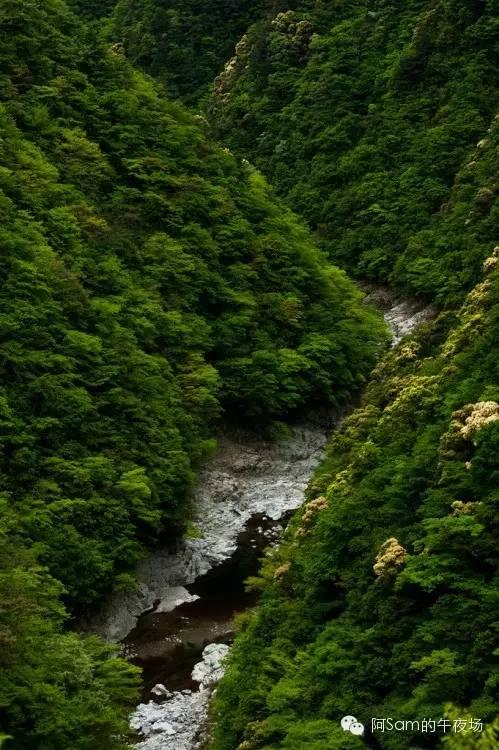 从心出发：寻找沁人心脾的味道的舒心之旅