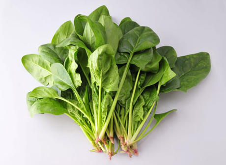 能排肠毒的高纤维食物有哪些？