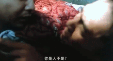 春光乍泄10