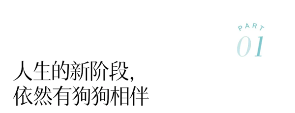 a1.webp