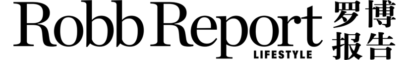 罗博报告