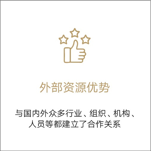 外部资源优势