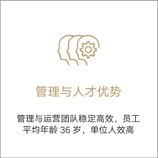 管理与人才优势