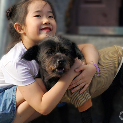 刘非的“四姑”：重生之我在SCHOOL酒吧当镇店神犬