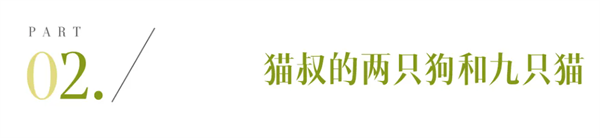 a2.webp