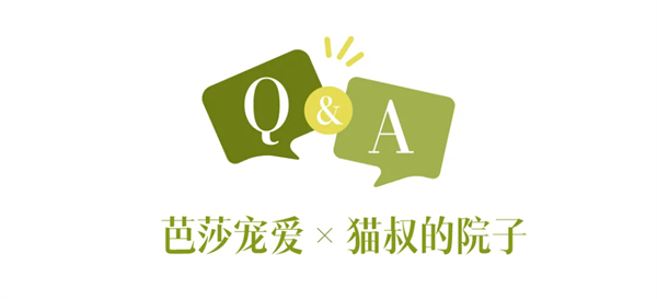 a4.webp
