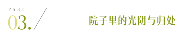 a3.webp