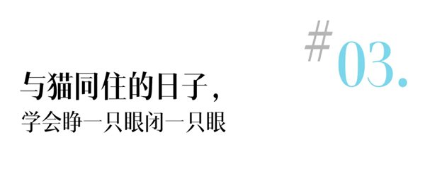 16.webp